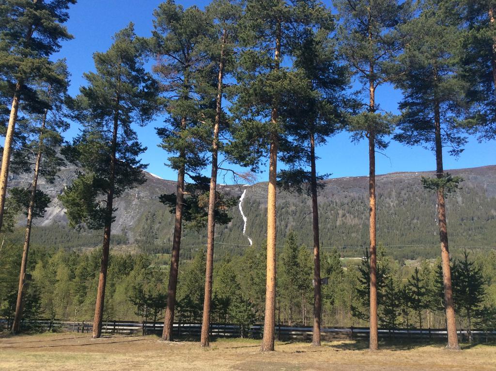 Furuly Camping Nordberg Kültér fotó