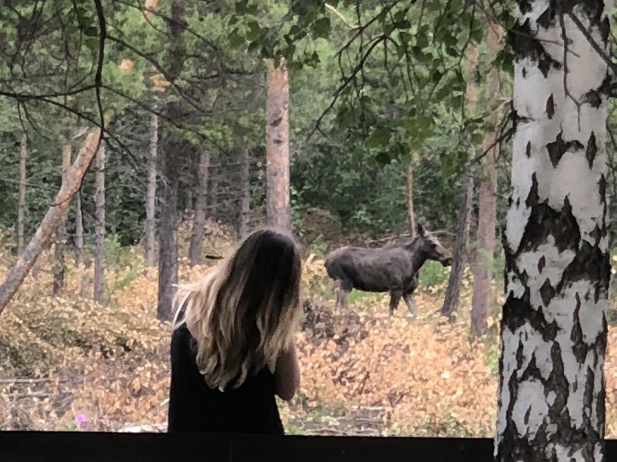 Furuly Camping Nordberg Kültér fotó