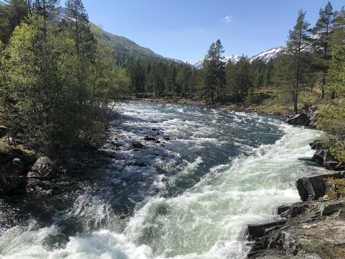 Furuly Camping Nordberg Kültér fotó